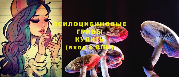 2c-b Абдулино