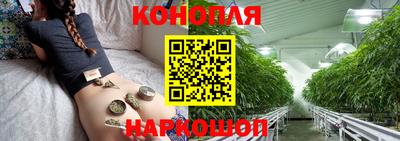 МДПВ Лесосибирск