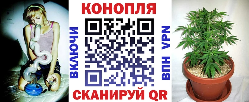 Канабис марихуана Зерноград